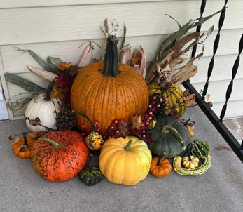 Finding beautiful pumpkins with friends at a local pumpkin patch to create this porch display.